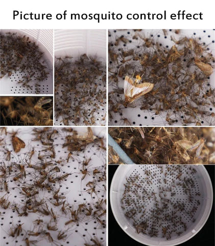 Mosquito Killer Lamp™